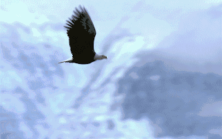 浐灞金融小区▁面积▁物业公司▁卖点分析▁最新动态